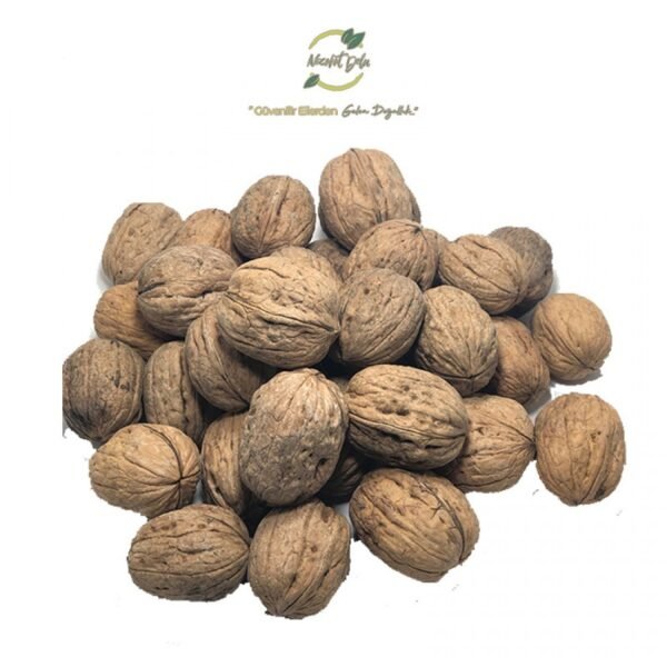 Thin Shelled Walnuts 10KG